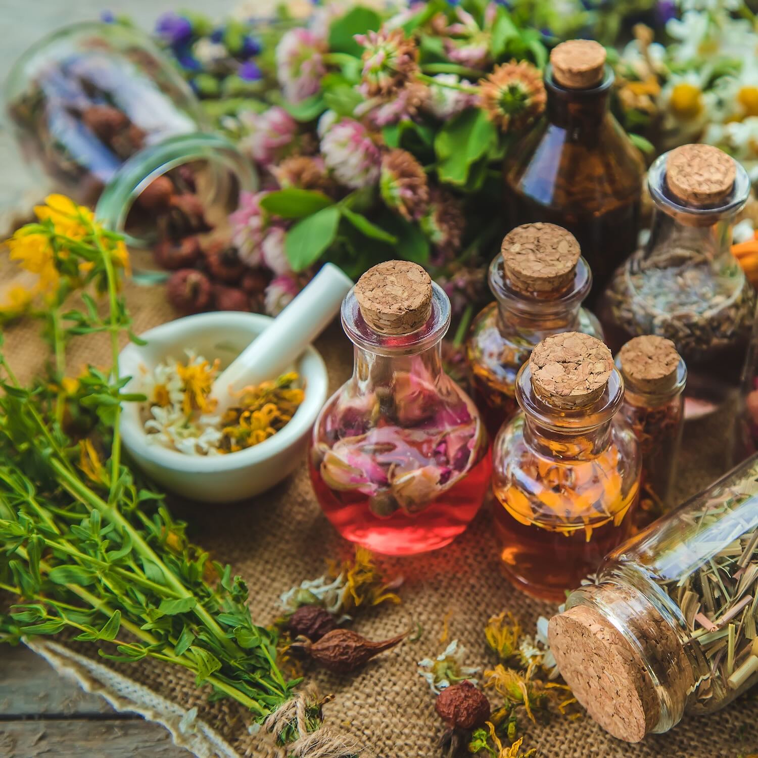 Phytothérapie compléments alimentaires, Pharmacie des Flandres, Marquette-lez-Lille, Saint-André-lez-Lille, Wambrechies